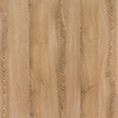 ES 295