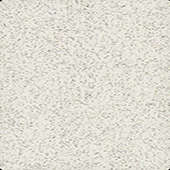 AX 241