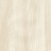 4471-60 White Acacia